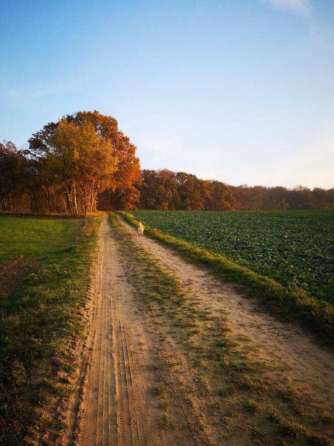 Gaestehaeuschen „Kleine Auszeit“ Greifswald Kültér fotó