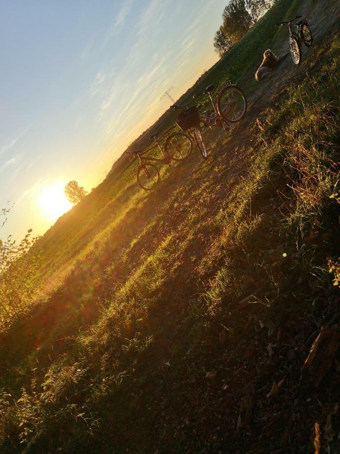Gaestehaeuschen „Kleine Auszeit“ Greifswald Kültér fotó